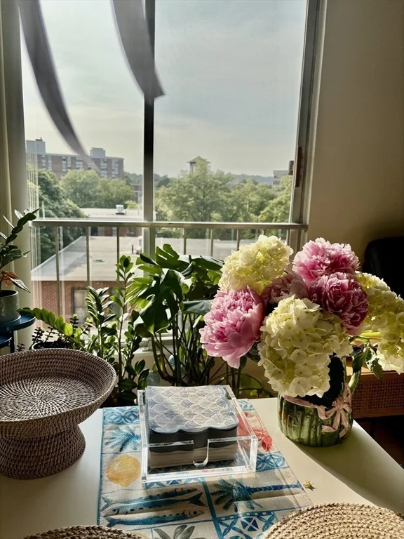 1 bed, 1 bath apartment for rent at 77 Pond Ave Unit 611, Brookline Village — photo 7 of 22