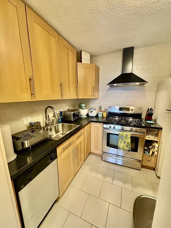 1 bed, 1 bath apartment for rent at 77 Pond Ave Unit 611, Brookline Village — photo 5 of 22