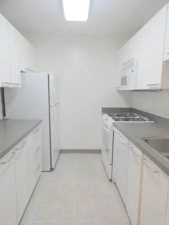 1 bed, 1 bath apartment for rent at 77 Pond Ave Unit 804, Coolidge Corner — photo 8 of 11
