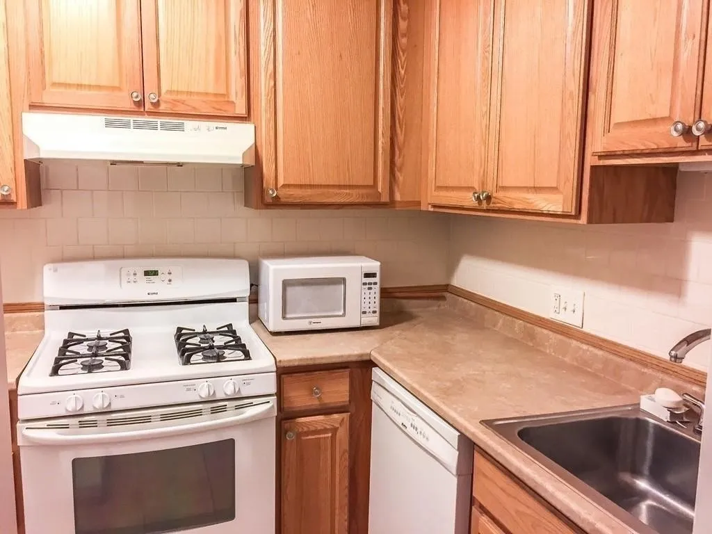 1 bed, 1 bath apartment for rent at 77 Pond Ave Unit 808, Coolidge Corner — photo 3 of 16