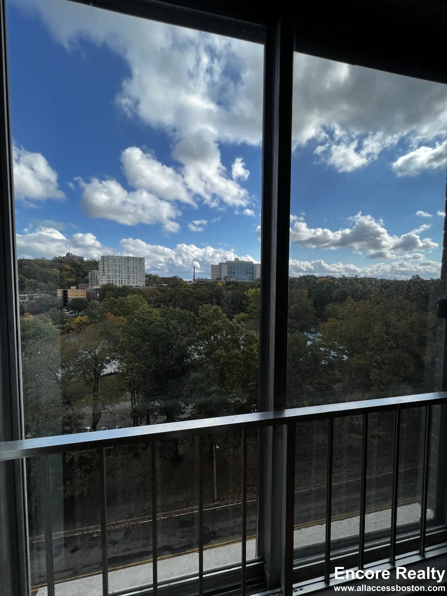 2.5 bed, 2 bath apartment for rent at 77 Pond Ave Unit 902, Brookline Village — photo 11 of 19