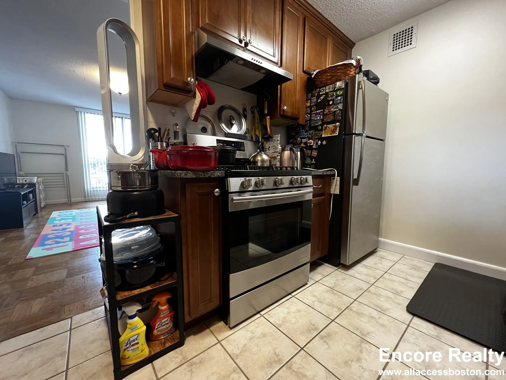 2.5 bed, 2 bath apartment for rent at 77 Pond Ave Unit 902, Brookline Village — photo 4 of 19