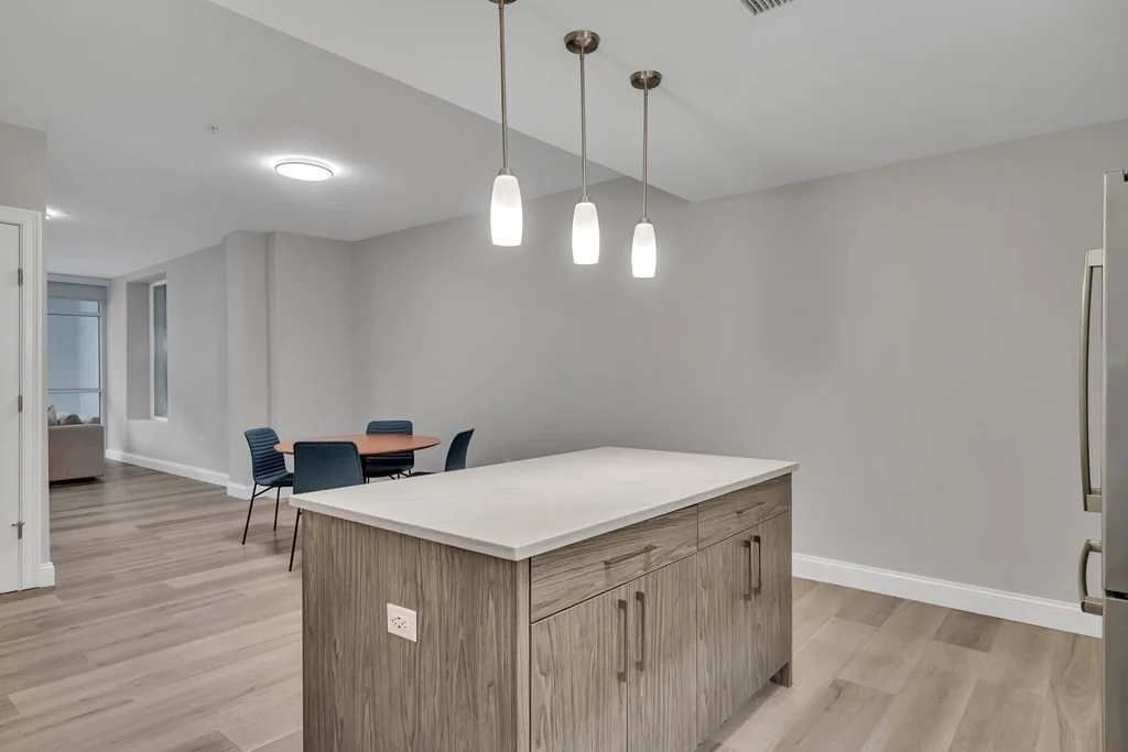 2 bed, 2 bath apartment for rent at 771 Harrison Ave Unit 305, South End — photo 7 of 28