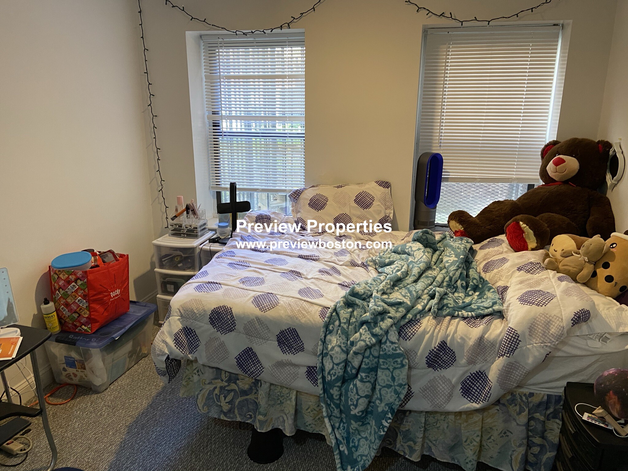 4 bed, 1 bath apartment for rent at 772 Columbus Ave Unit 1, Roxbury — photo 23 of 25