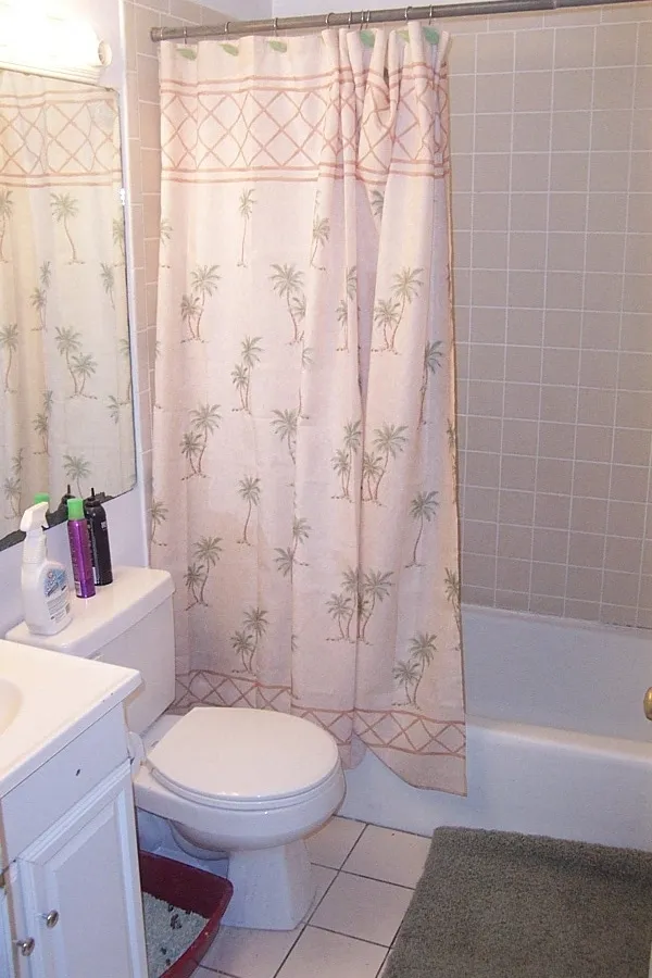 4 bed, 1 bath apartment for rent at 772 Columbus Ave Unit 2, Roxbury — photo 5 of 6