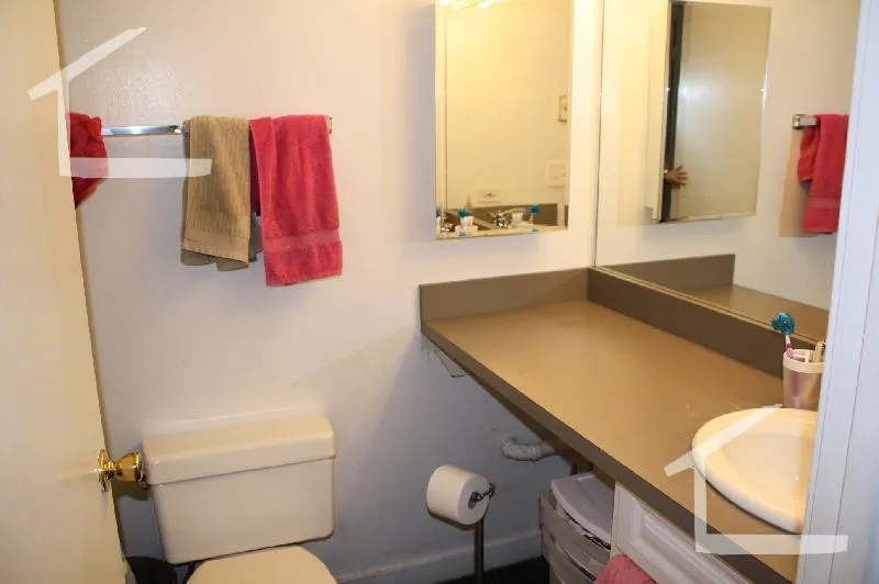 3 bed, 1 bath apartment for rent at 774 Columbus Ave Unit 4, Roxbury — photo 17 of 22
