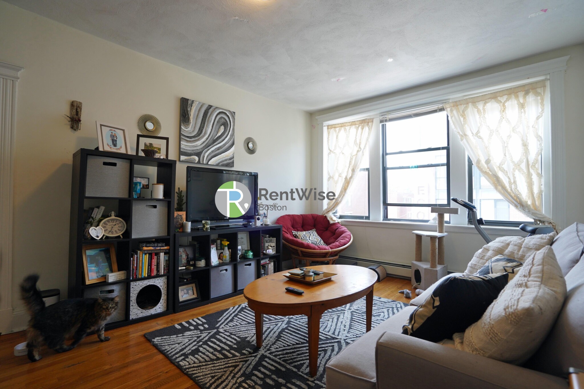 1 bed, 1 bath apartment for rent at 78 Brainerd Rd Unit 18, Allston — photo 3 of 20