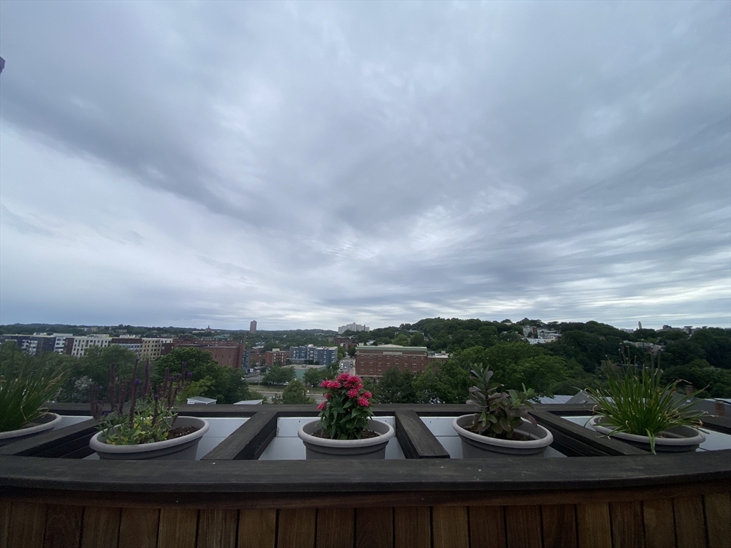 3 bed, 2 bath apartment for rent at 78 Fort Ave Unit 78, Roxbury — photo 36 of 36