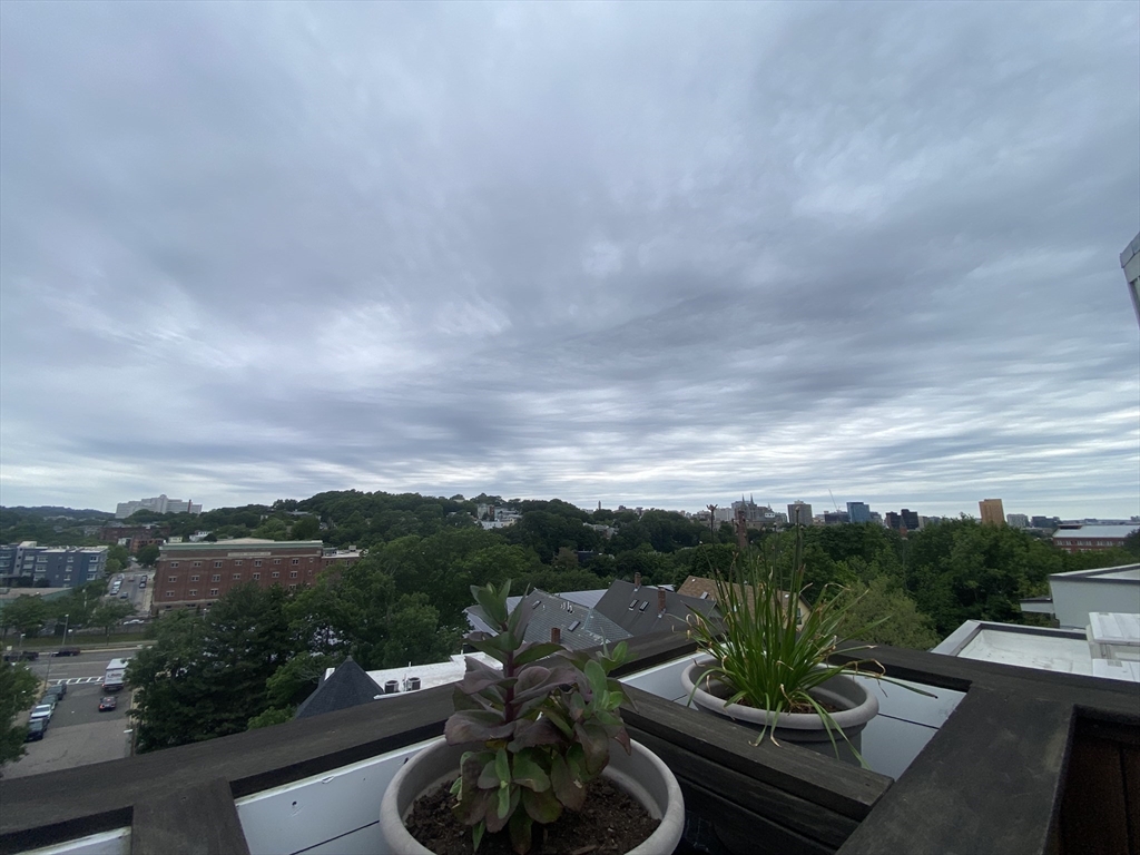 3 bed, 2 bath apartment for rent at 78 Fort Ave Unit 78, Roxbury — photo 35 of 36