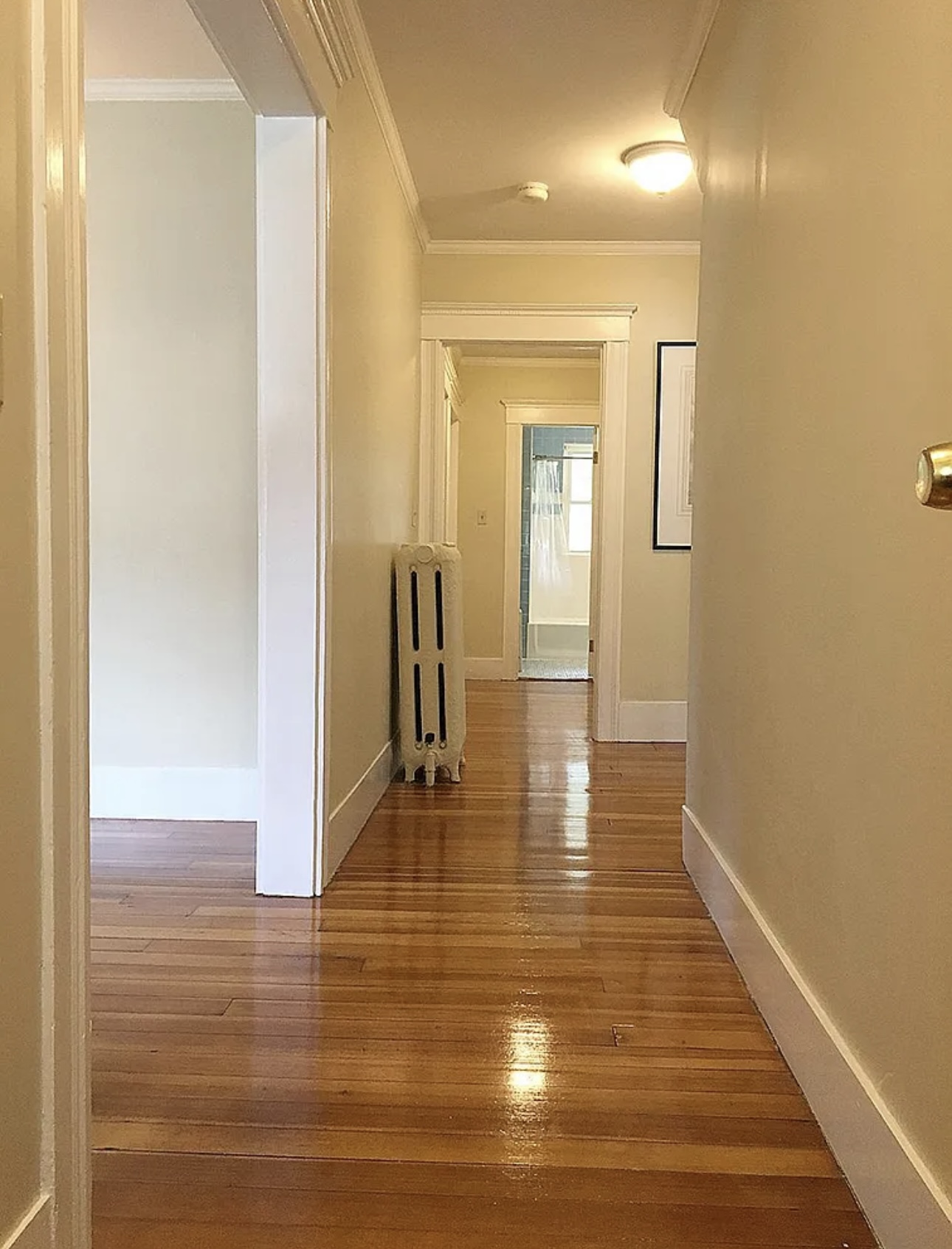 2 bed, 1 bath apartment for rent at 78 Temple Ave Unit 1, Winthrop — photo 5 of 12
