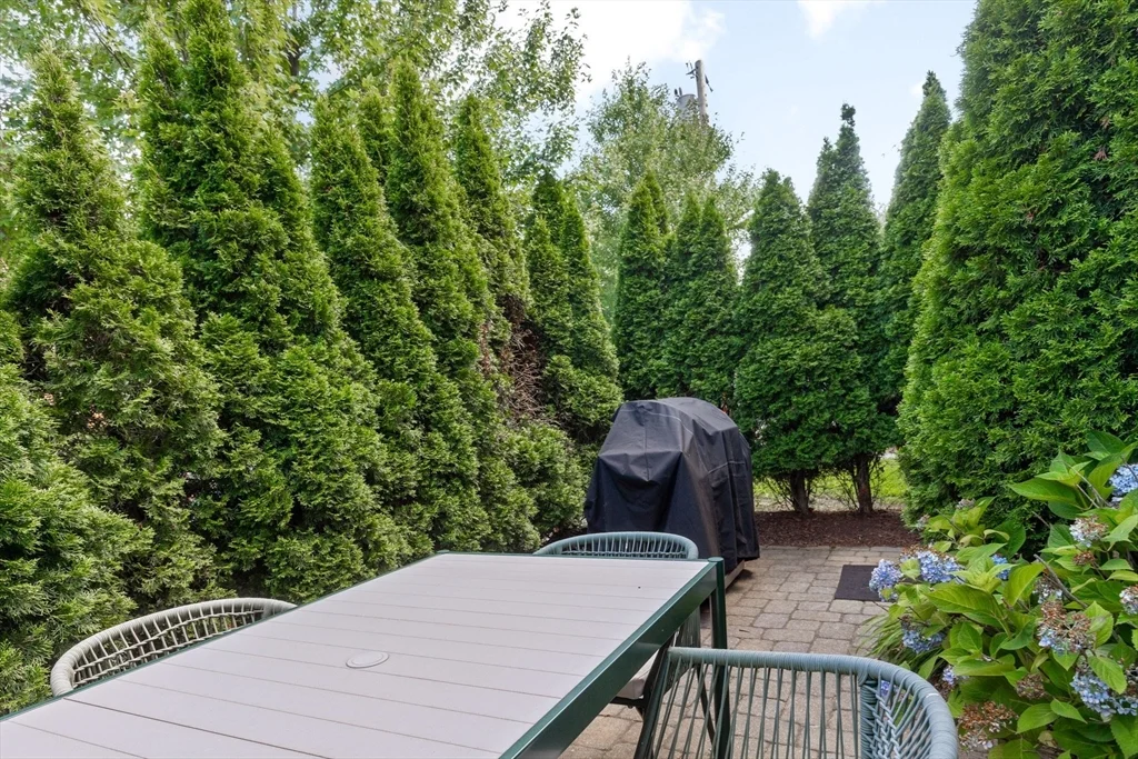 3 bed, 3 bath apartment for rent at 788 Belmont Unit 788, East Watertown — photo 9 of 20