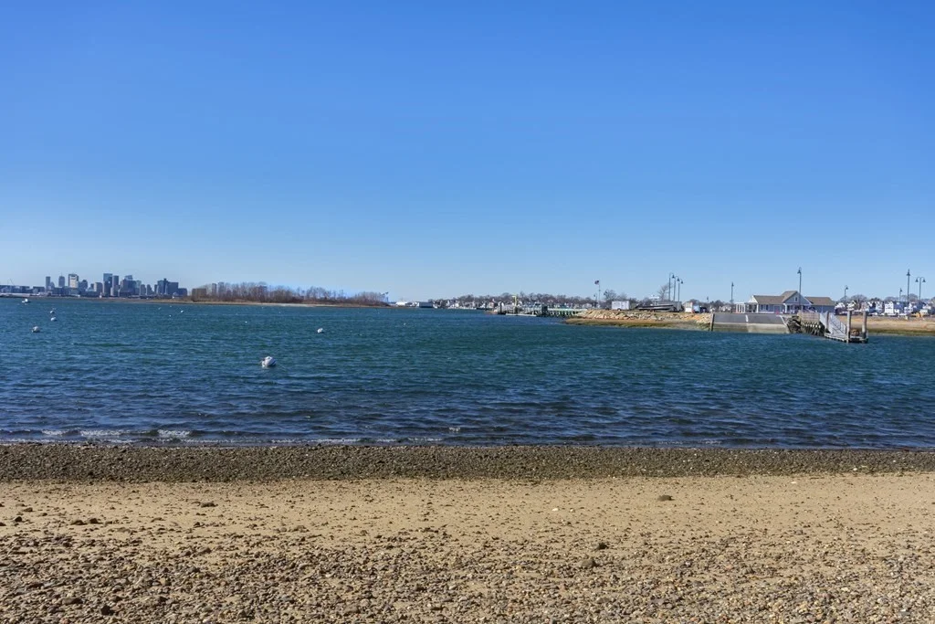 1 bed, 1 bath apartment for rent at 789 Shirley St Unit 3, Winthrop — photo 4 of 24