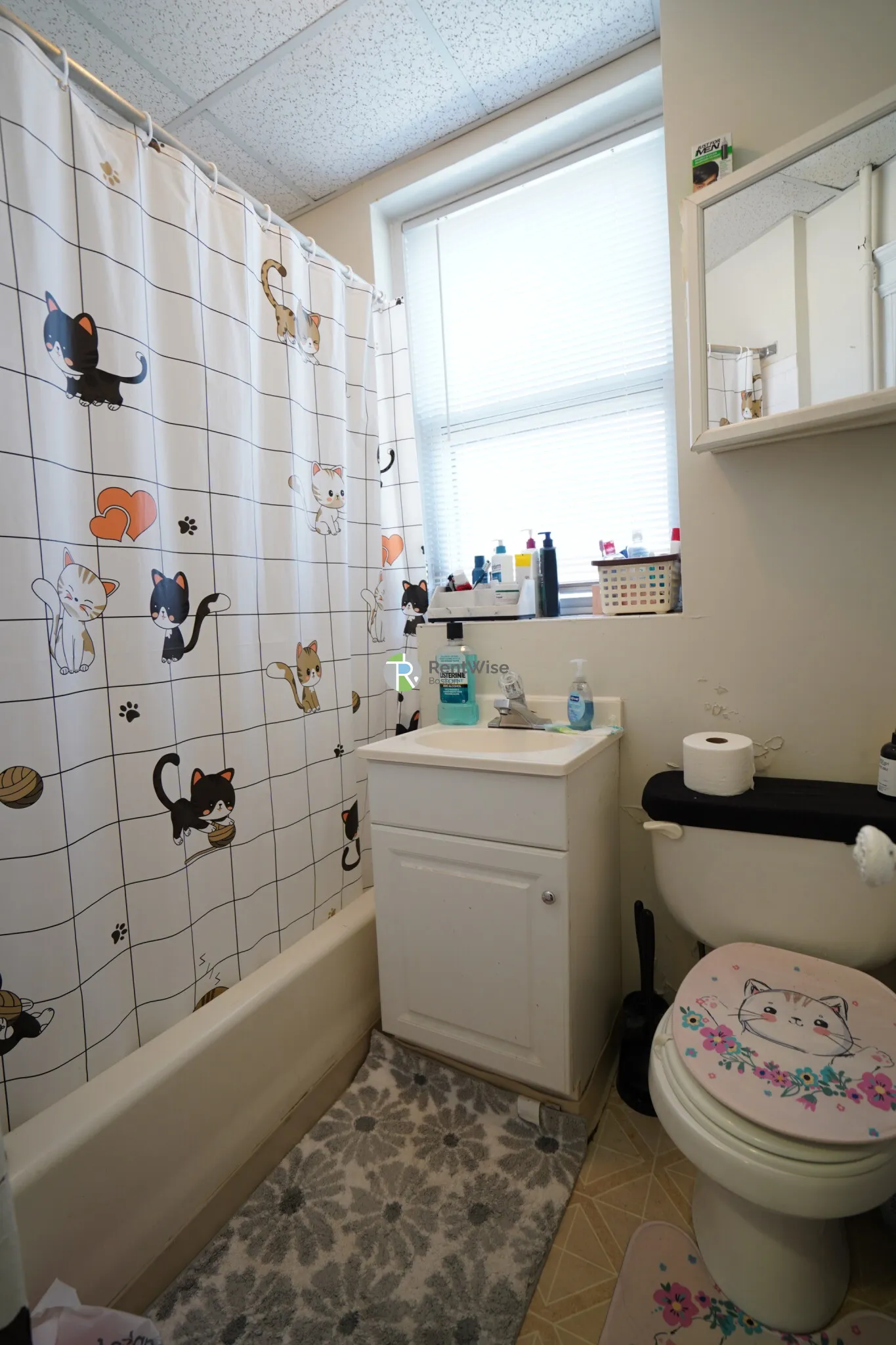 Studio bed, 1 bath apartment for rent at 79 Gordon St Unit 11, Brighton — photo 5 of 13