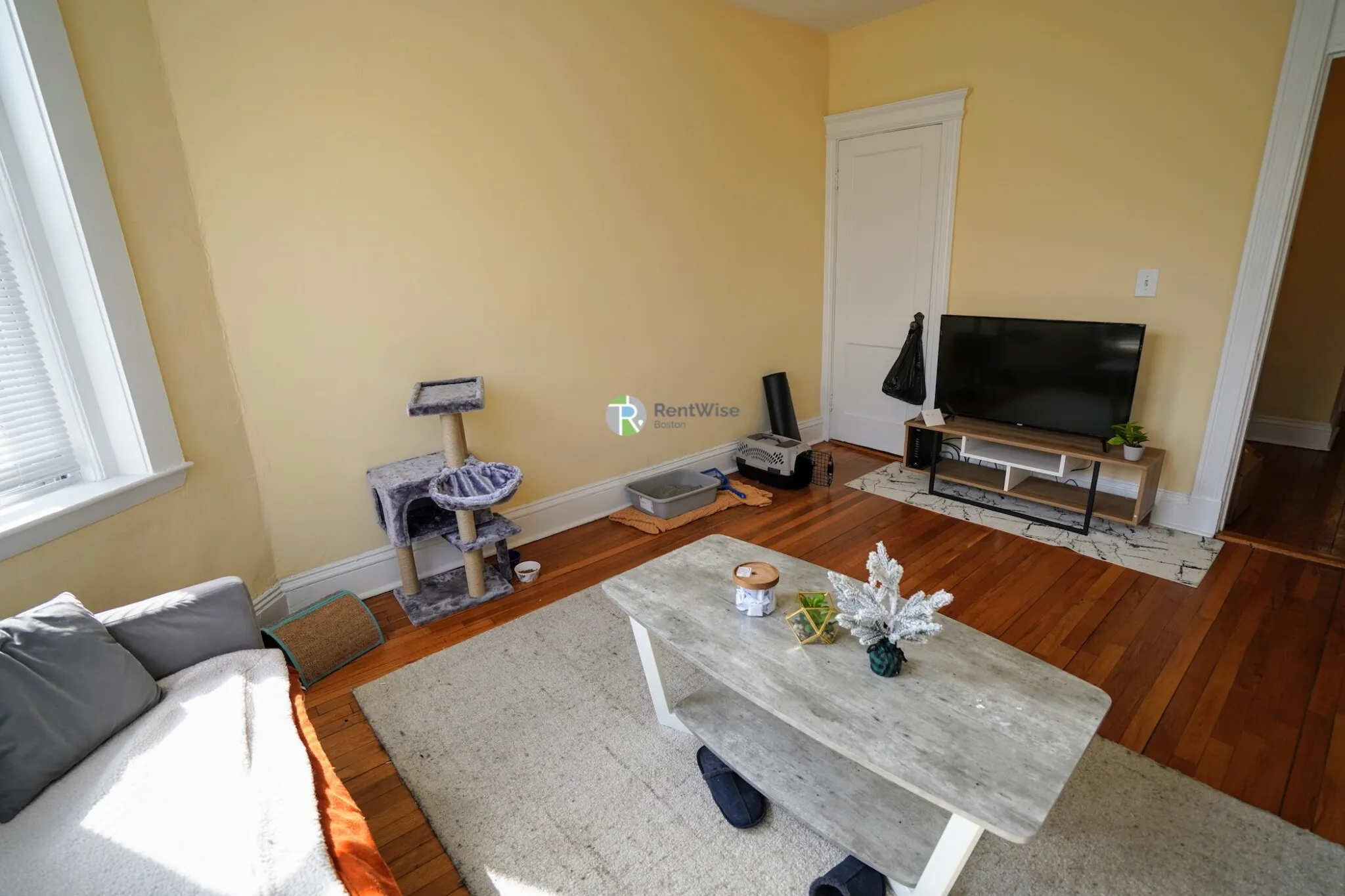 1 bed, 1 bath apartment for rent at 79 Gordon St Unit 14, Brighton — photo 2 of 13
