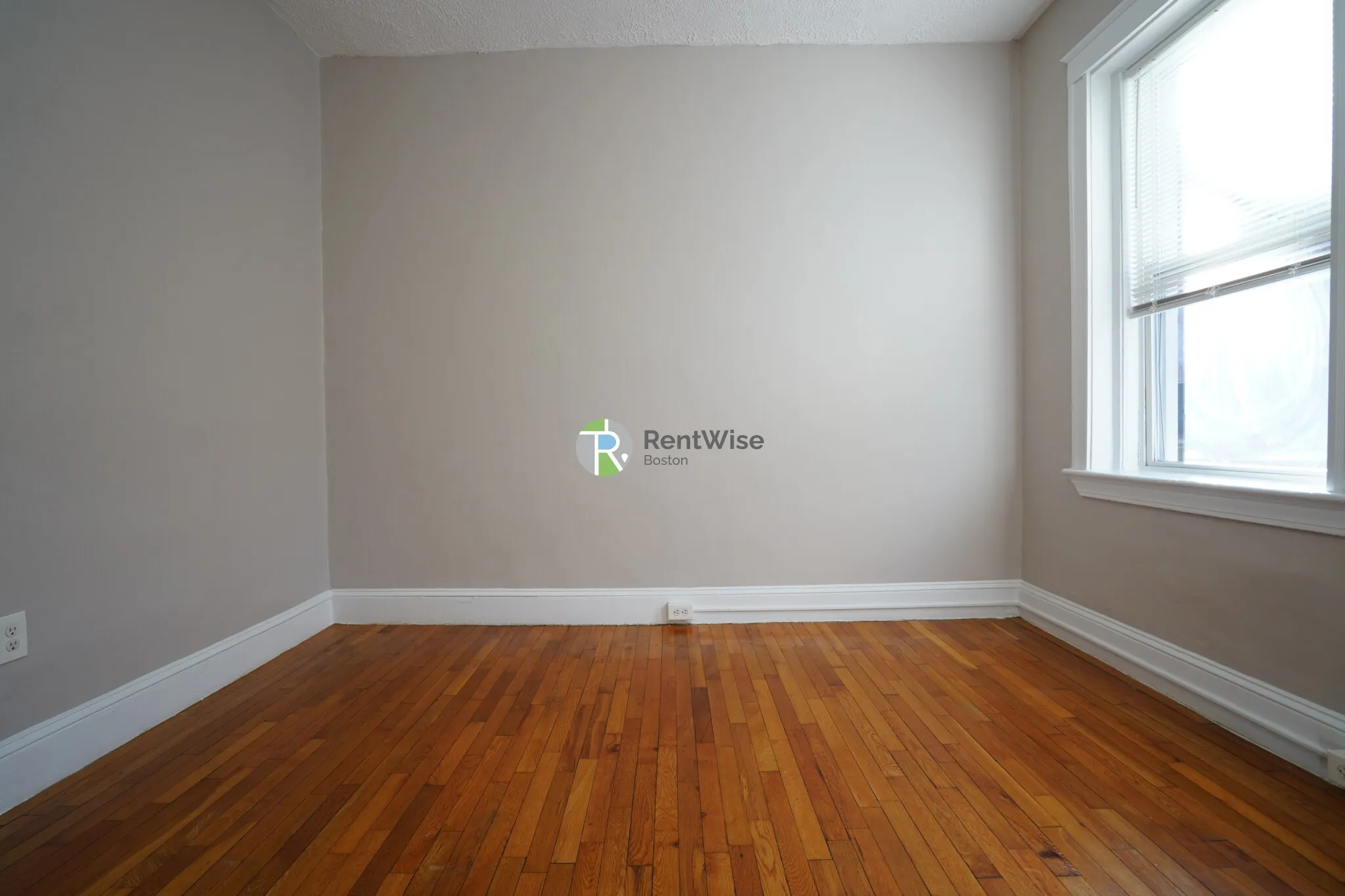 Studio bed, 1 bath apartment for rent at 79 Gordon St Unit 3, Brighton — photo 4 of 14