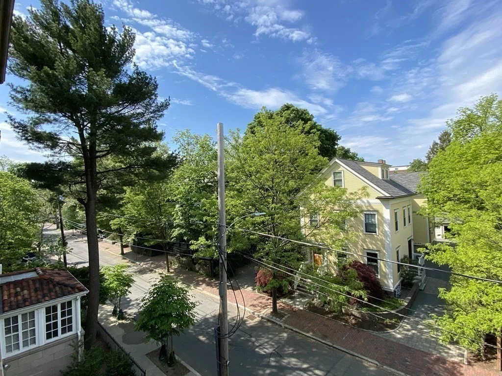 2 bed, 1 bath apartment for rent at 79 Martin St Unit 33, Neighborhood Nine — photo 12 of 14