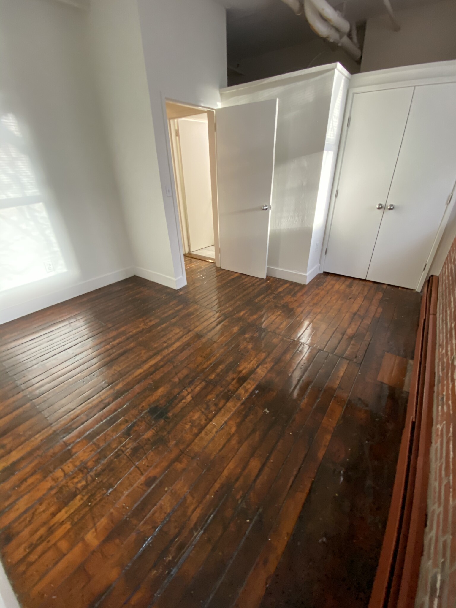 2 bed, 1 bath apartment for rent at 791 Tremont St Unit W112, Roxbury — photo 9 of 15