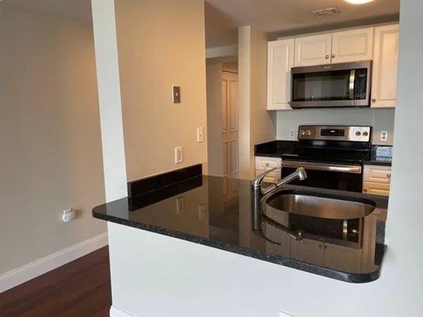2 bed, 2 bath apartment for rent at 8-12 Museum Way Unit 1501, East Cambridge — photo 10 of 30