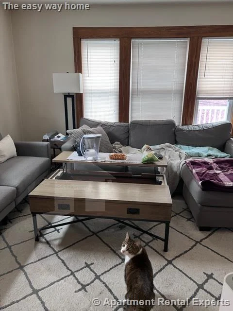 2 bed, 1 bath apartment for rent at 8 Cady Ave, Davis Square — photo 8 of 19