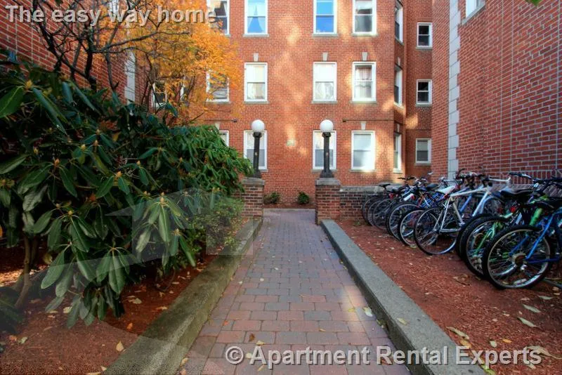 1 bed, 1 bath apartment for rent at 8 Craigie Cir Unit 8, Harvard Square — photo 12 of 13