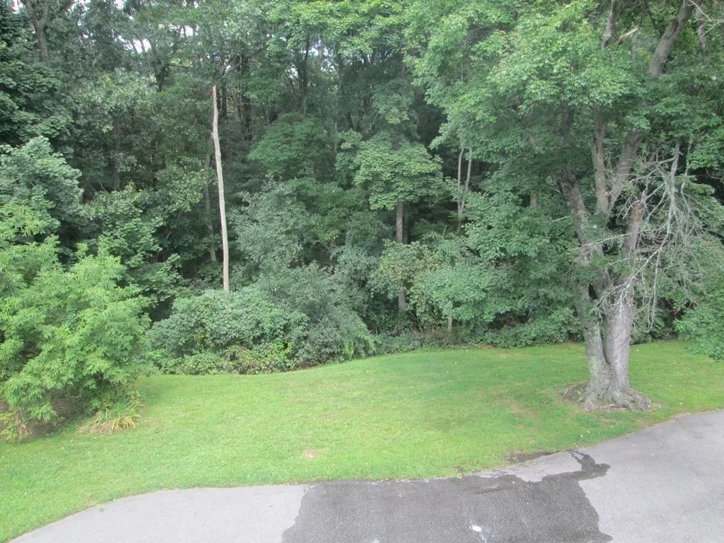 3 bed, 2 bath apartment for rent at 8 Dunham St Unit A, Lexington — photo 19 of 20