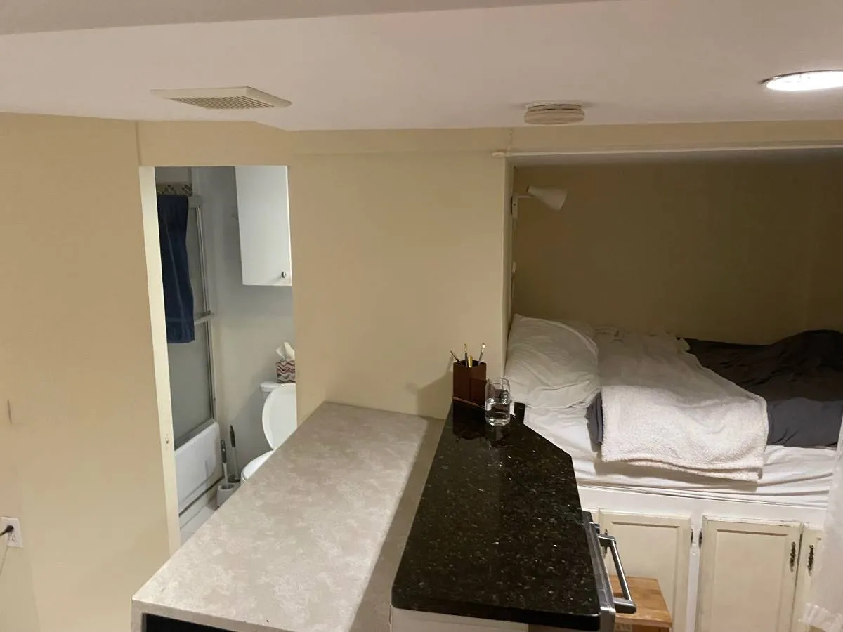 Studio bed, 1 bath apartment for rent at 8 Fulkerson St Unit RR, East Cambridge — photo 3 of 7