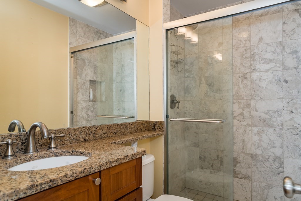 1 bed, 1 bath apartment for rent at 8 Garden Ct Unit 8, North End — photo 10 of 13