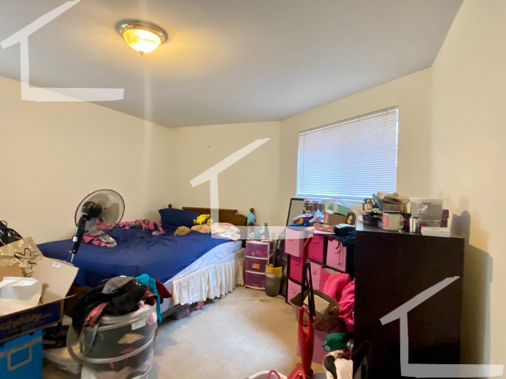 3 bed, 1.5 bath apartment for rent at 8 Griggs St Unit 1, Brighton — photo 19 of 36