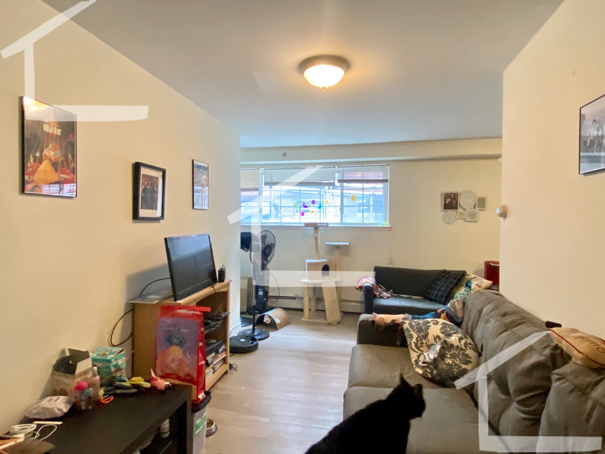 3 bed, 1.5 bath apartment for rent at 8 Griggs St Unit 1, Brighton