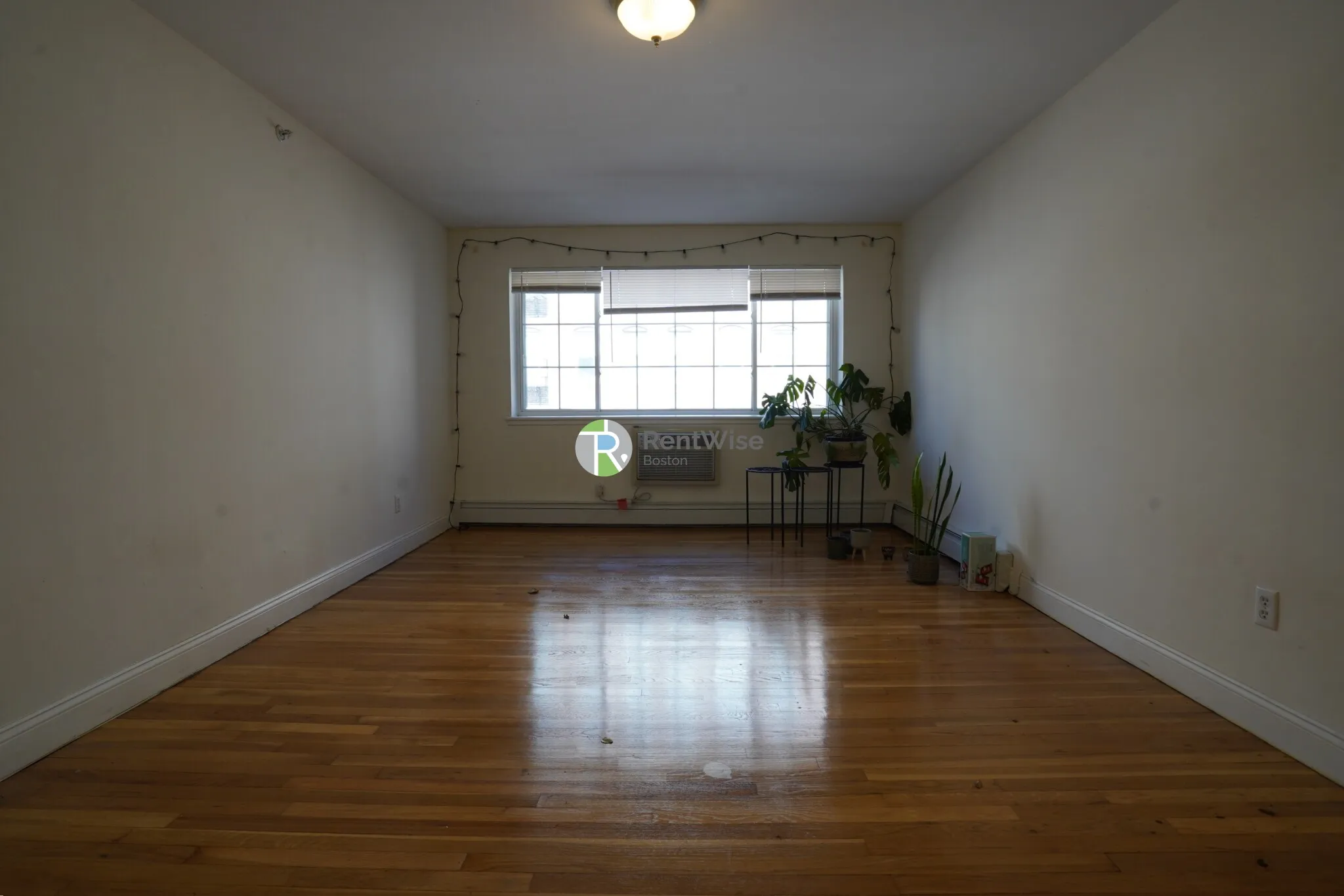1 bed, 1 bath apartment for rent at 8 Griggs St Unit 14, Brighton