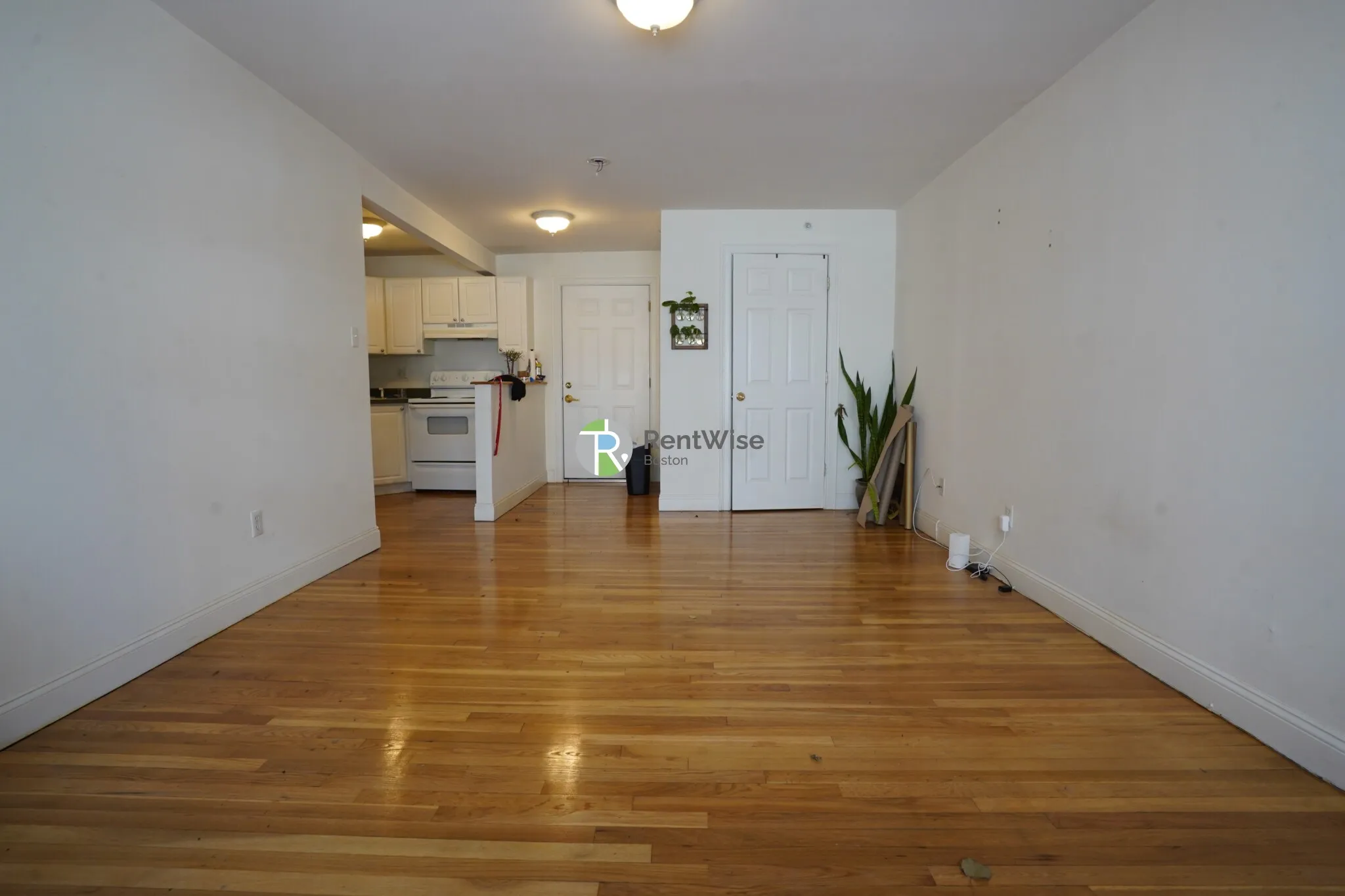 1 bed, 1 bath apartment for rent at 8 Griggs St Unit 14, Brighton — photo 2 of 10