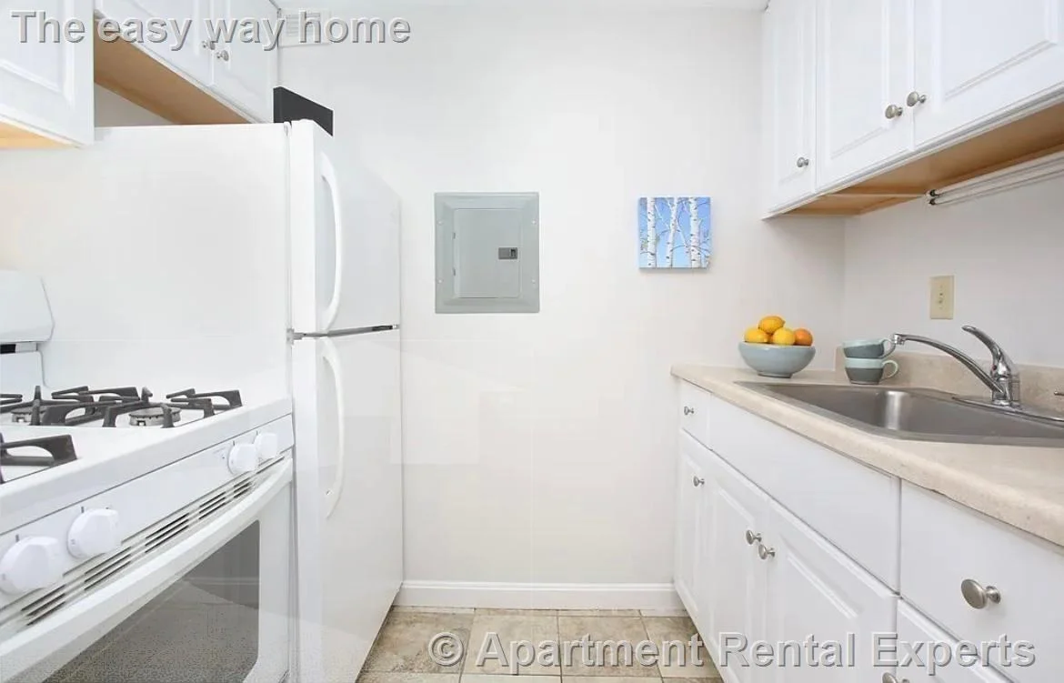 1 bed, 1 bath apartment for rent at 8 Juniper St Unit 17, Brookline Village — photo 3 of 5