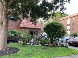 1 bed, 1 bath apartment for rent at 8 Nahant Pl Unit 301, Lynn — photo 1 of 6