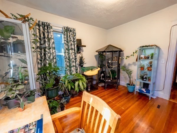 3 bed, 1 bath apartment for rent at 8 Parkton Rd Unit 1, Jamaica Plain — photo 8 of 19