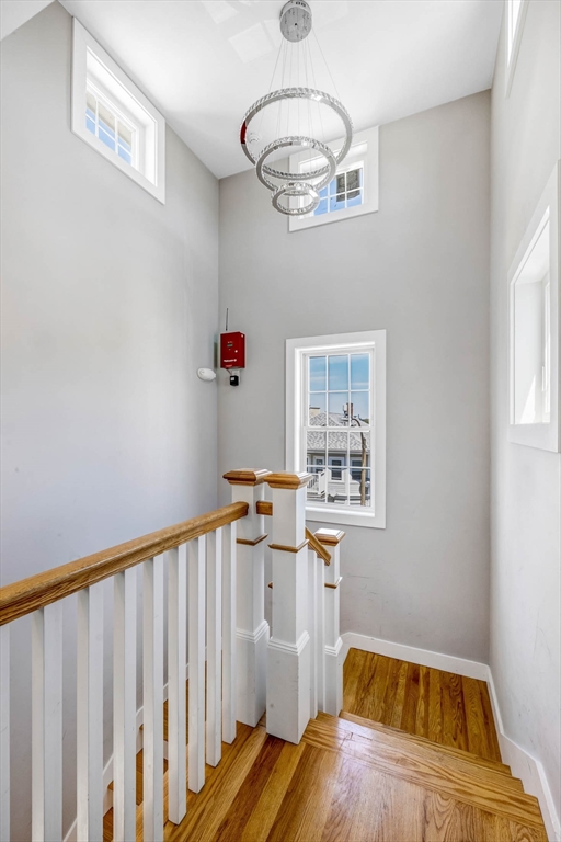 5 bed, 3 bath apartment for rent at 8 W Bellflower St Unit 1, Dorchester — photo 5 of 26