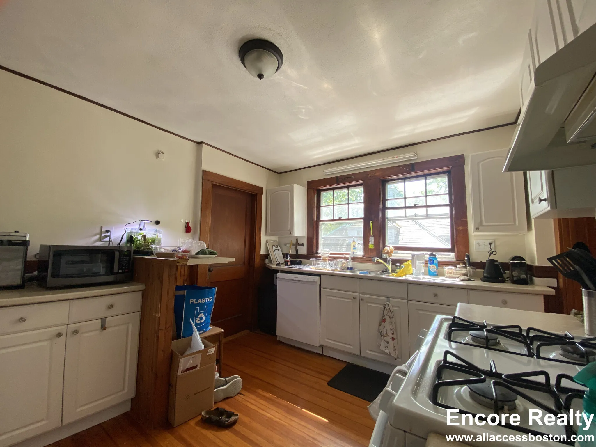 2.5 bed, 1 bath apartment for rent at 8 Worthington St Unit 1, West Cambridge — photo 4 of 12