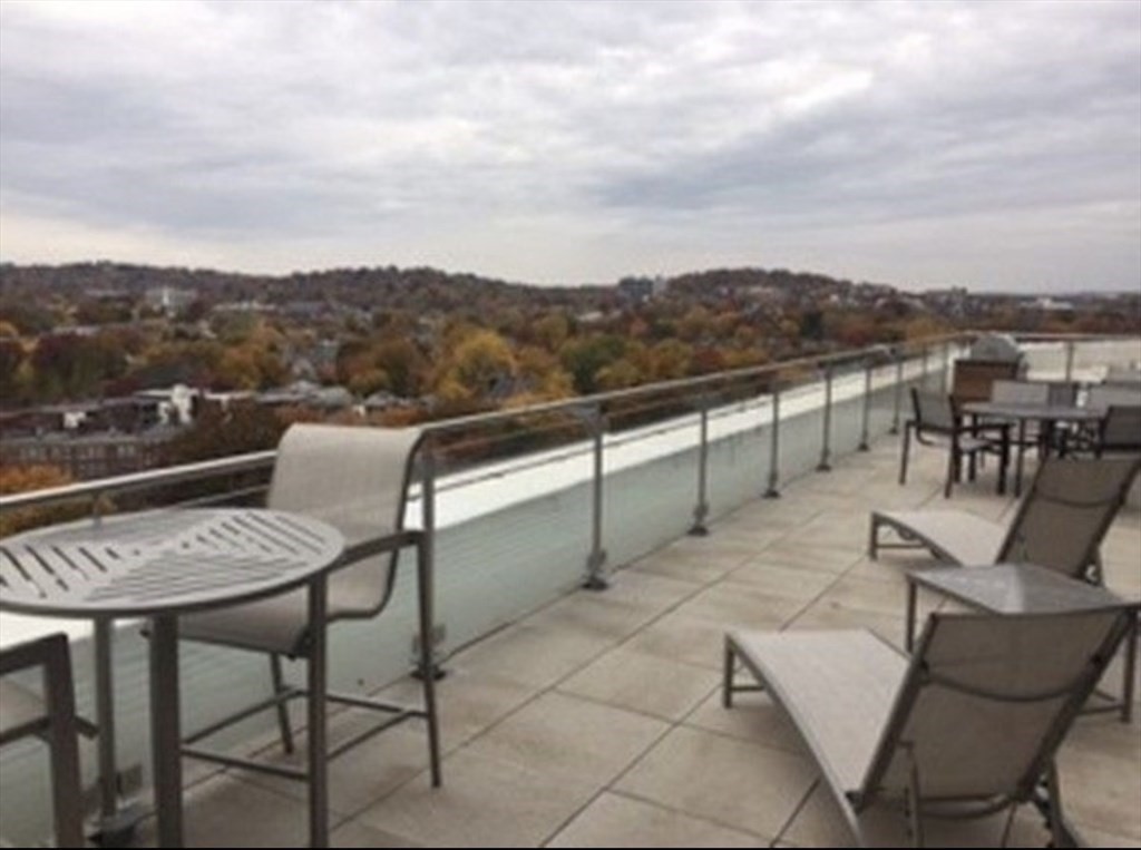 1 bed, 1 bath apartment for rent at 80-82 Fenwood Rd Unit 716, Longwood — photo 9 of 17