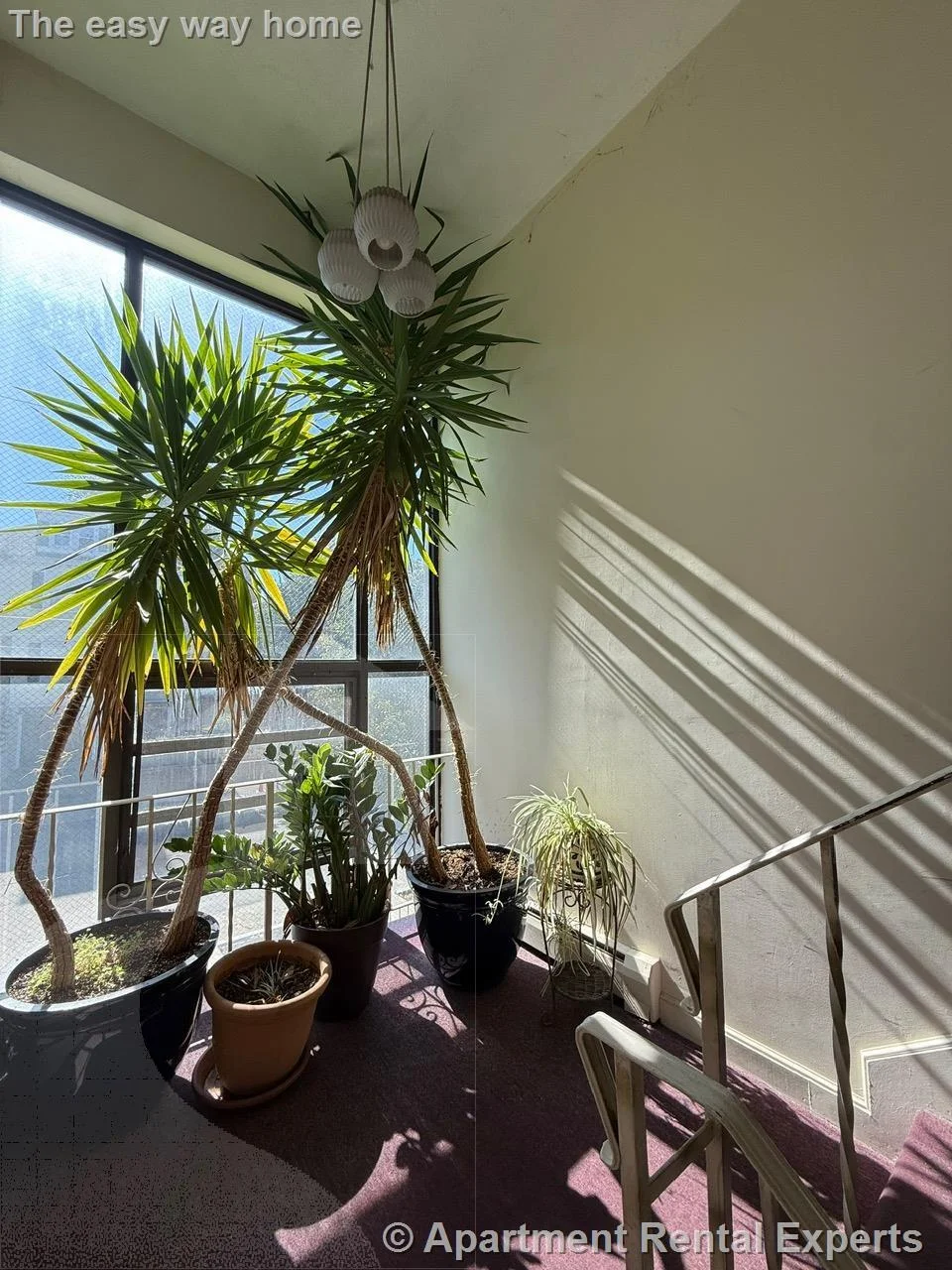 2 bed, 1 bath apartment for rent at 80 Bow St Unit 17, Magoun Square — photo 7 of 10
