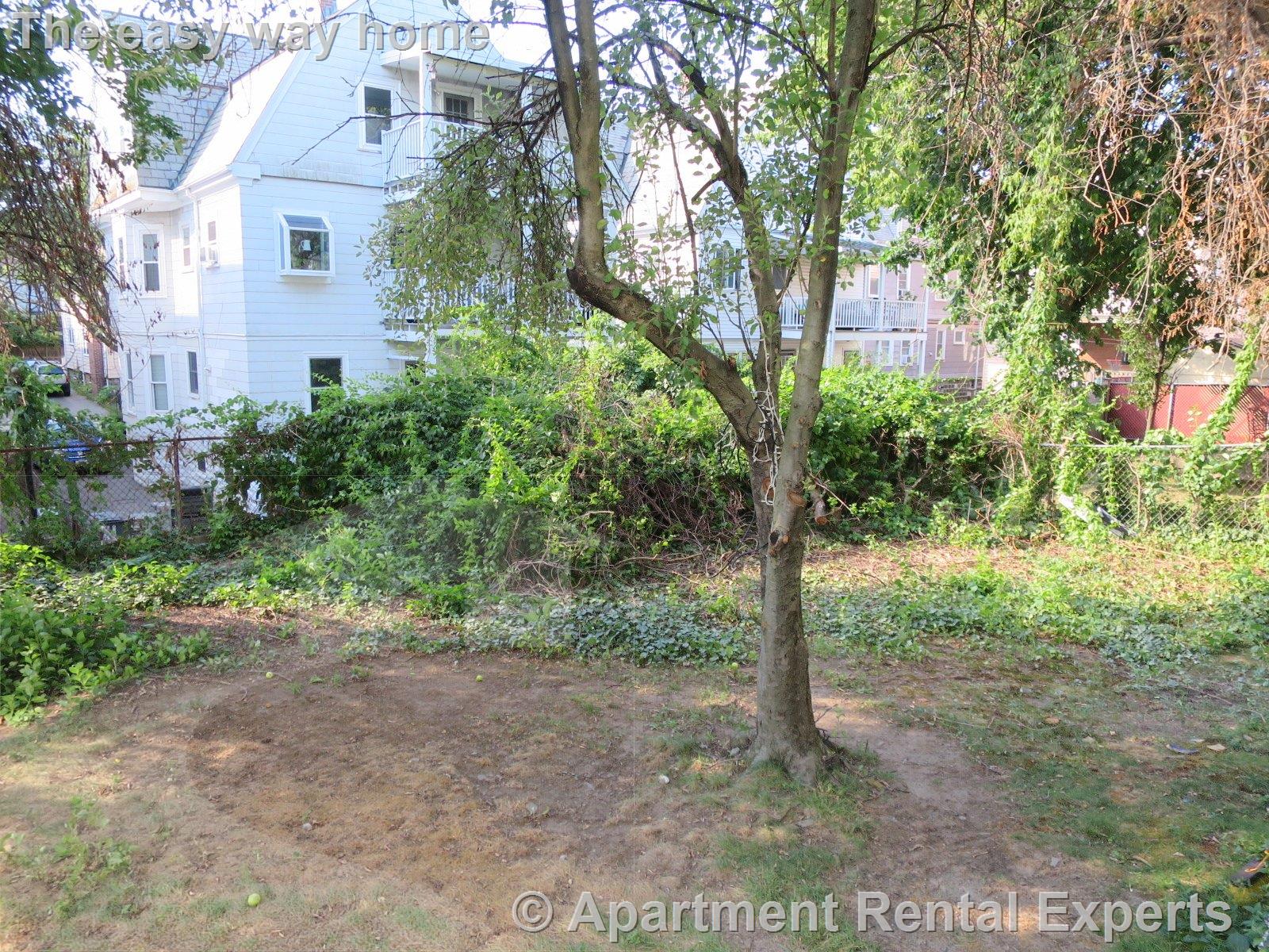 3 bed, 1 bath apartment for rent at 80 Irving St Unit 2, Davis Square — photo 19 of 19