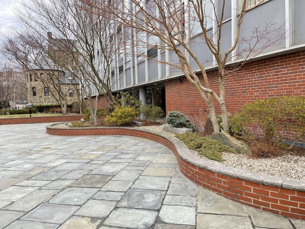 3 bed, 2 bath apartment for rent at 80 Park St Unit 74, Coolidge Corner — photo 3 of 15