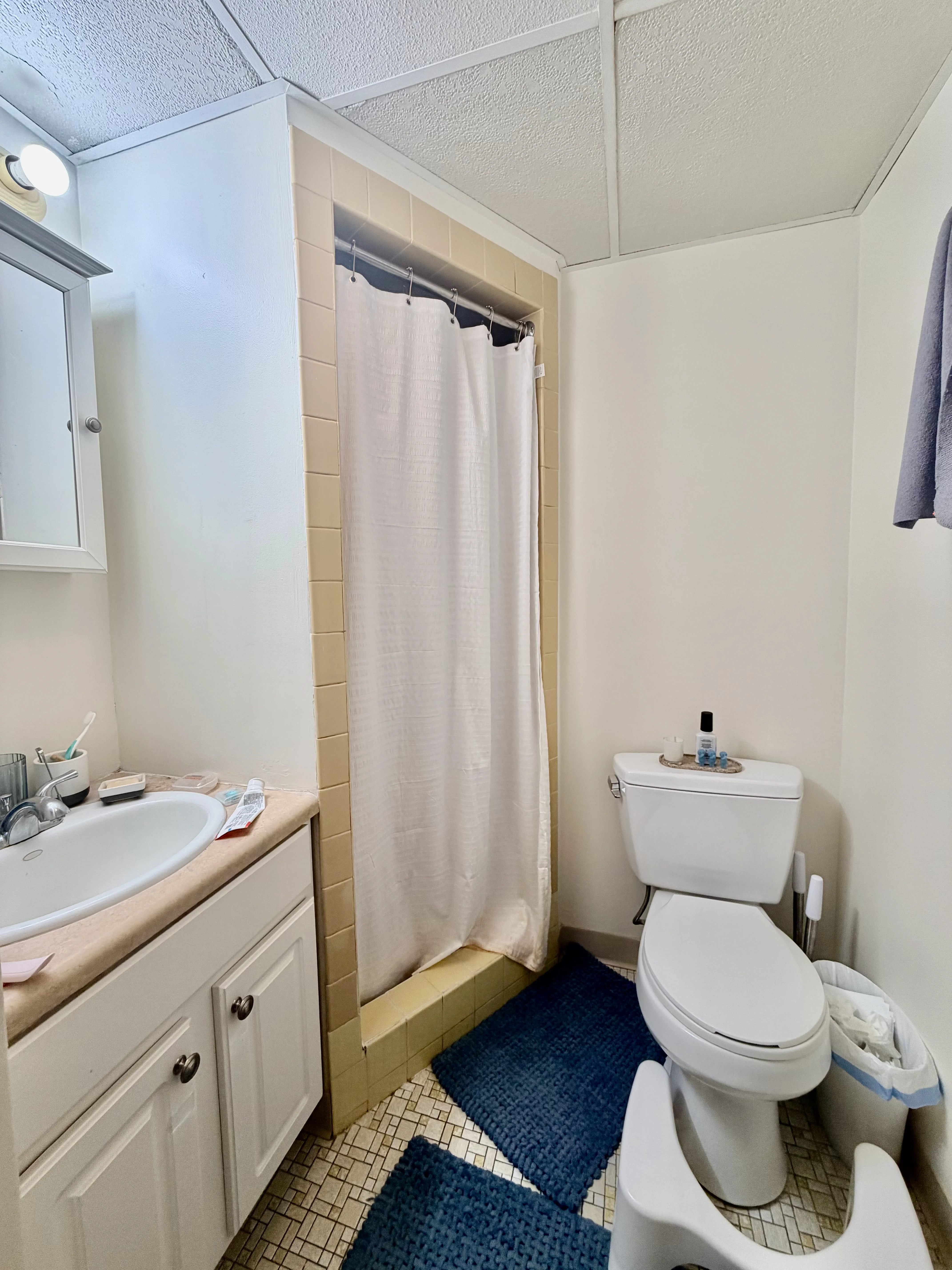 2 bed, 2 bath apartment for rent at 80 Pleasant St Unit 23, Coolidge Corner — photo 7 of 11