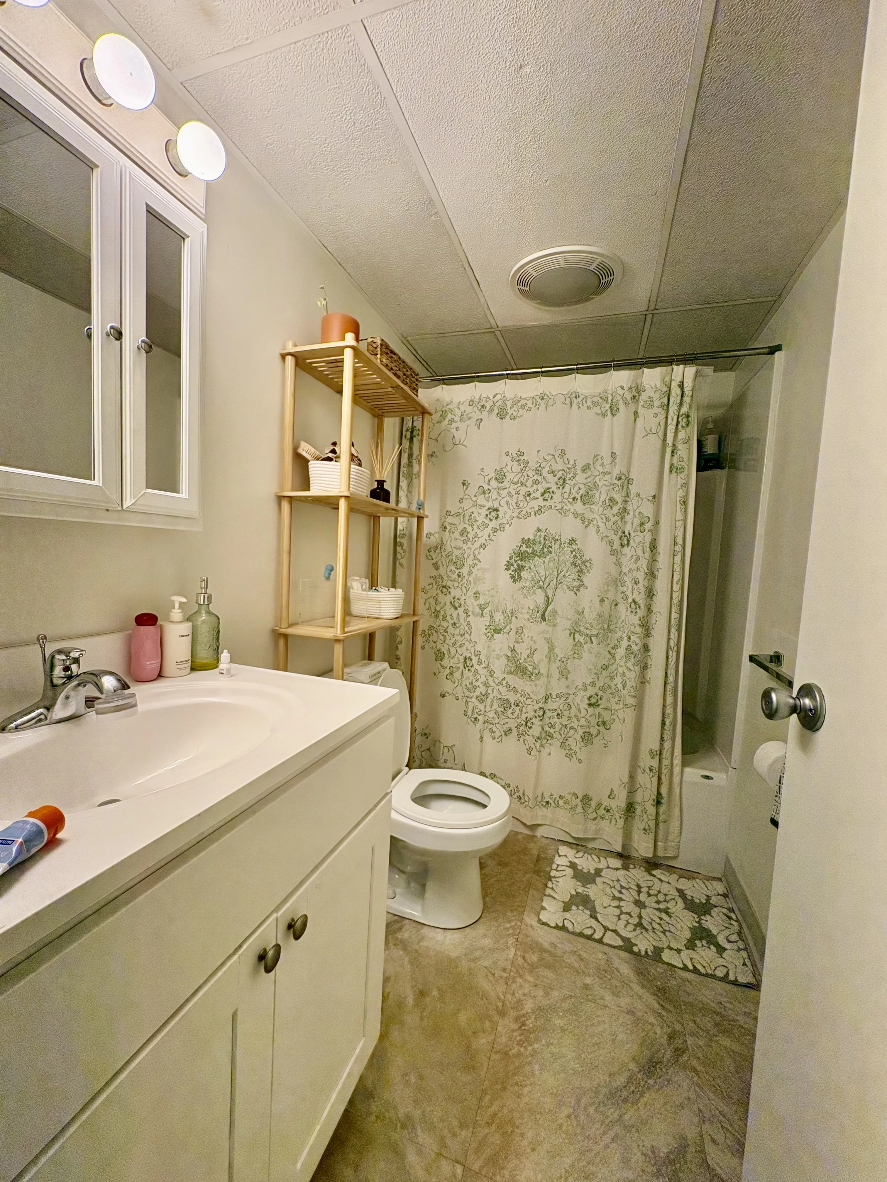 2 bed, 2 bath apartment for rent at 80 Pleasant St Unit 23, Coolidge Corner — photo 3 of 11