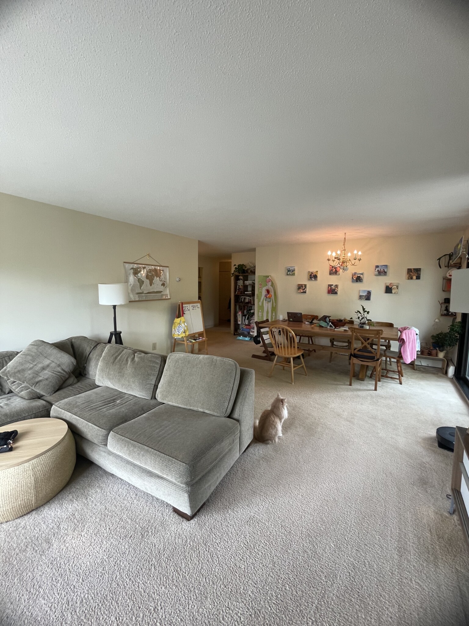 2 bed, 2 bath apartment for rent at 80 Pleasant St Unit 31, Coolidge Corner — photo 8 of 21