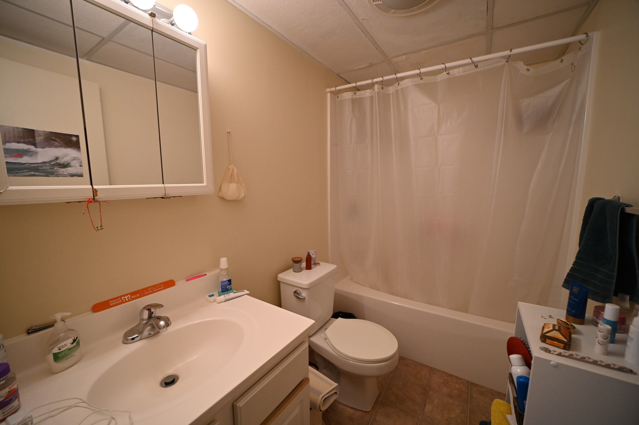 2 bed, 2 bath apartment for rent at 80 Pleasant St Unit 63, Coolidge Corner — photo 10 of 17