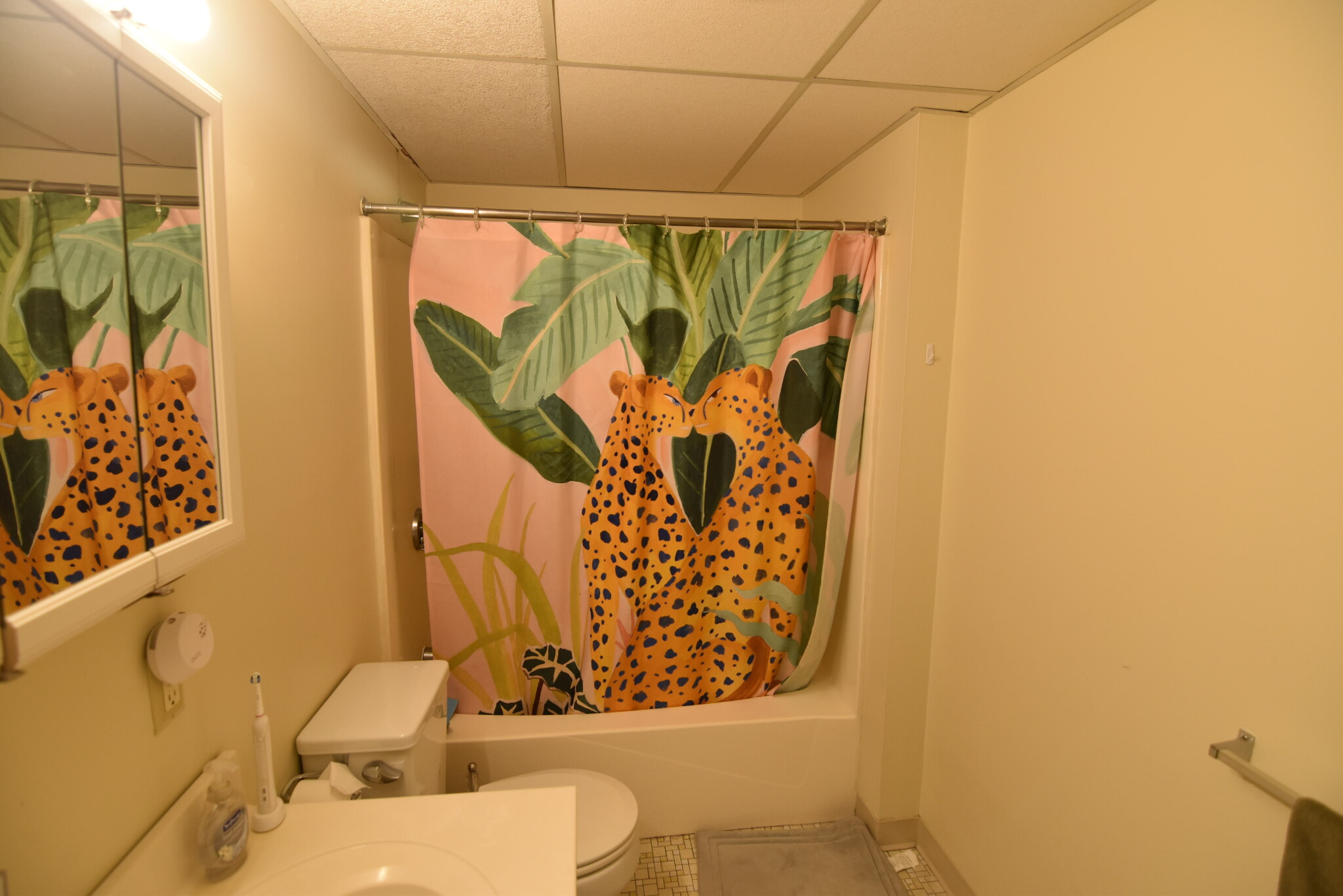 1 bed, 1 bath apartment for rent at 80 Pleasant St Unit 65, Coolidge Corner — photo 10 of 15