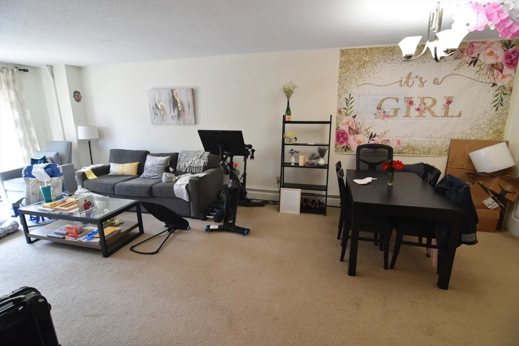 1 bed, 1 bath apartment for rent at 80 Pleasant Unit 22, Coolidge Corner — photo 4 of 10