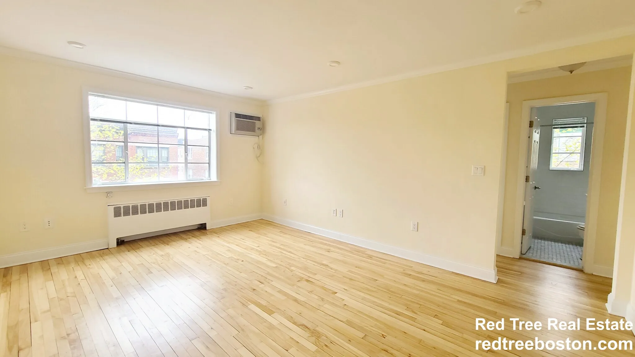 1 bed, 1 bath apartment for rent at 80 Saint Paul St Unit 3, Coolidge Corner — photo 8 of 8