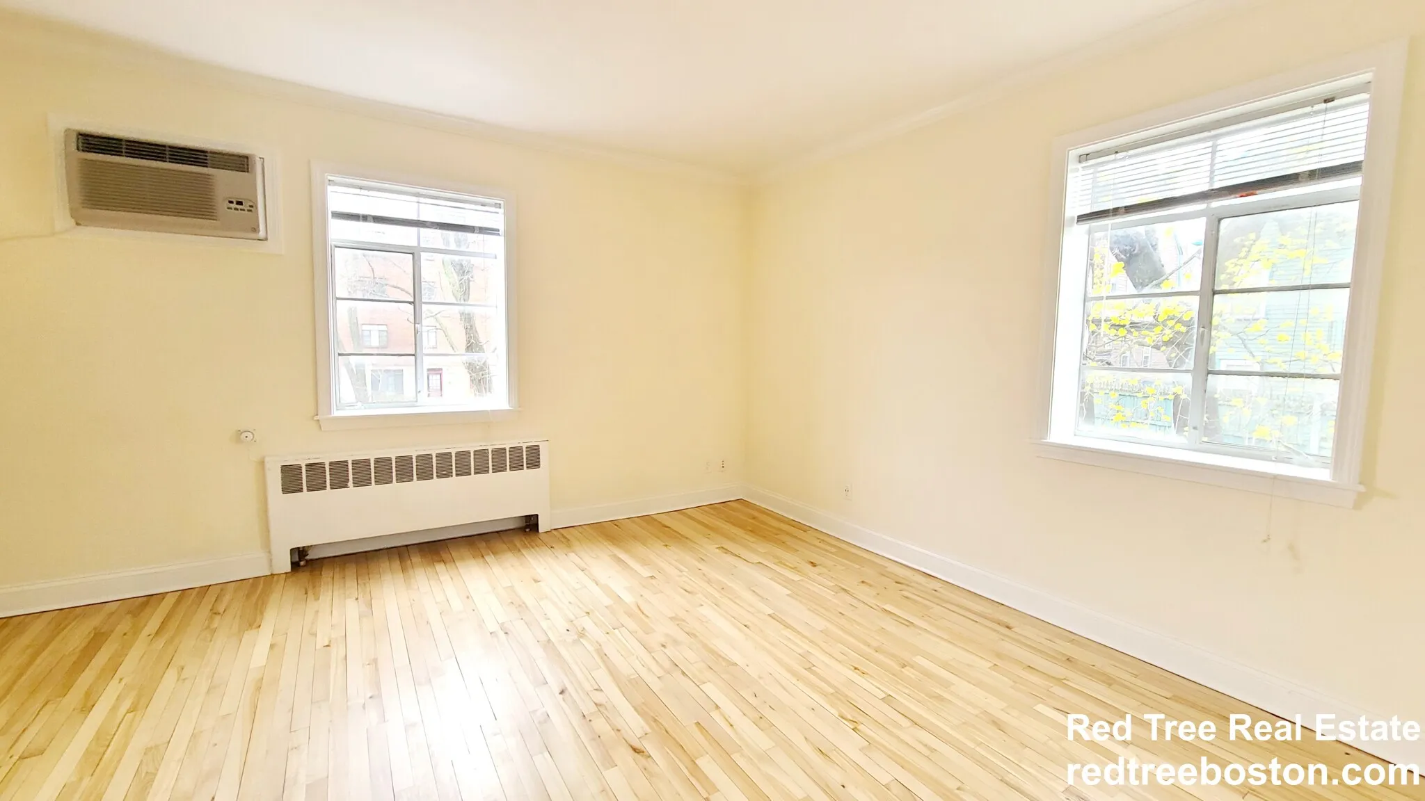 1 bed, 1 bath apartment for rent at 80 Saint Paul St Unit 3, Coolidge Corner — photo 5 of 8
