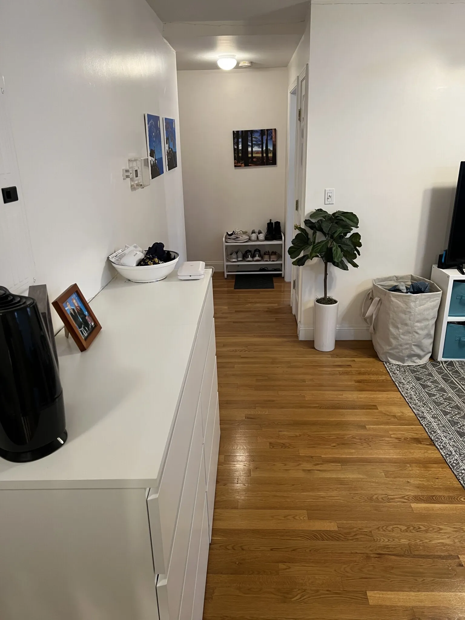 1 bed, 1 bath apartment for rent at 80 Sutherland Rd Unit 3AP, Brighton — photo 31 of 50