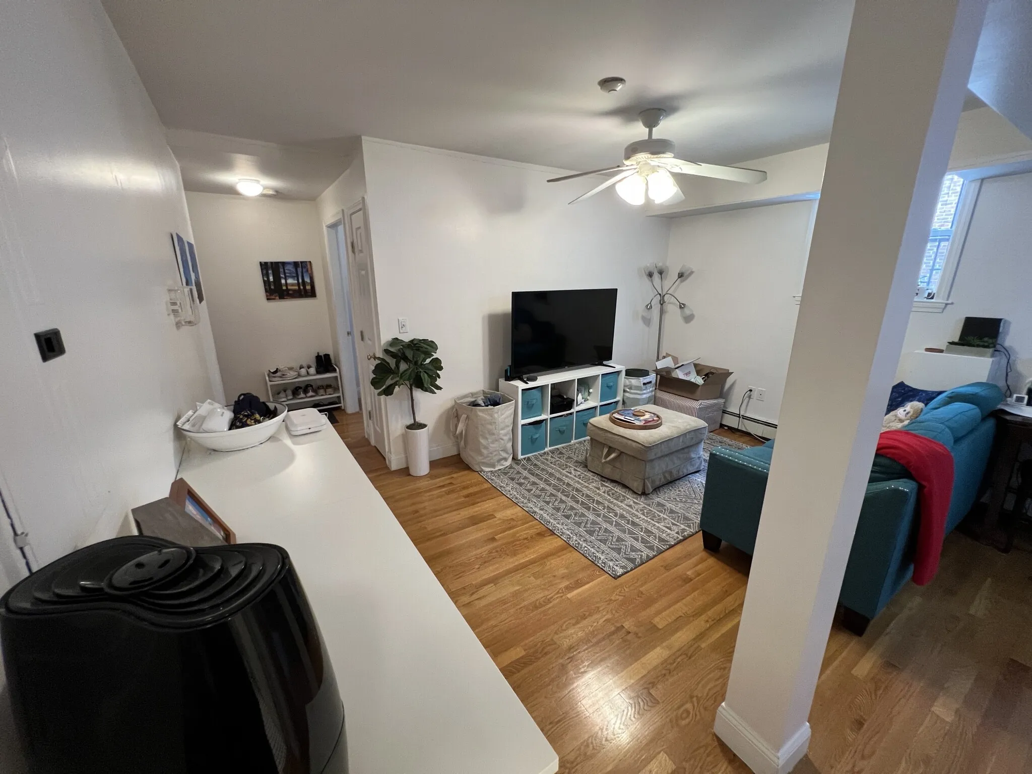 1 bed, 1 bath apartment for rent at 80 Sutherland Rd Unit 3AP, Brighton — photo 32 of 50